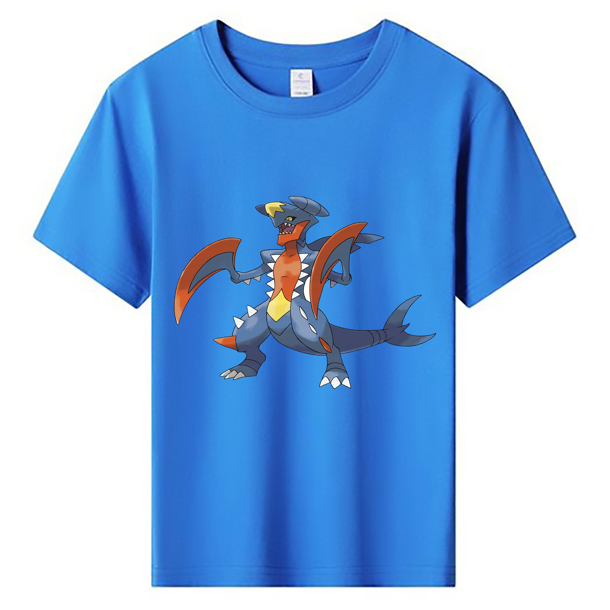 （画像用） ポケットモンスター Pokémon 綿100％キッズTシャツ（フロントプリント）
